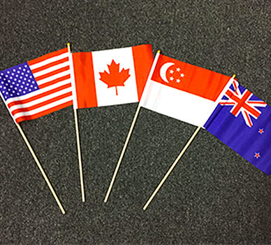 Custom Fabric Flag - Davis Materialworks